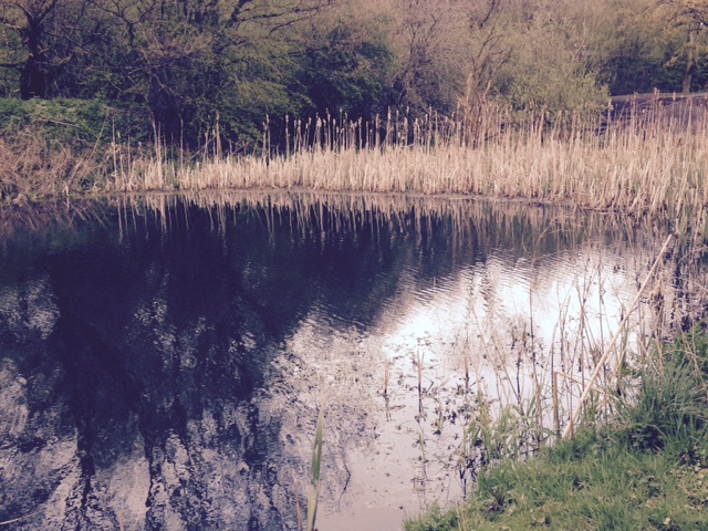 Works on Basin 2 April 2016.jpg Works on Basin 2 April 2016.jpg