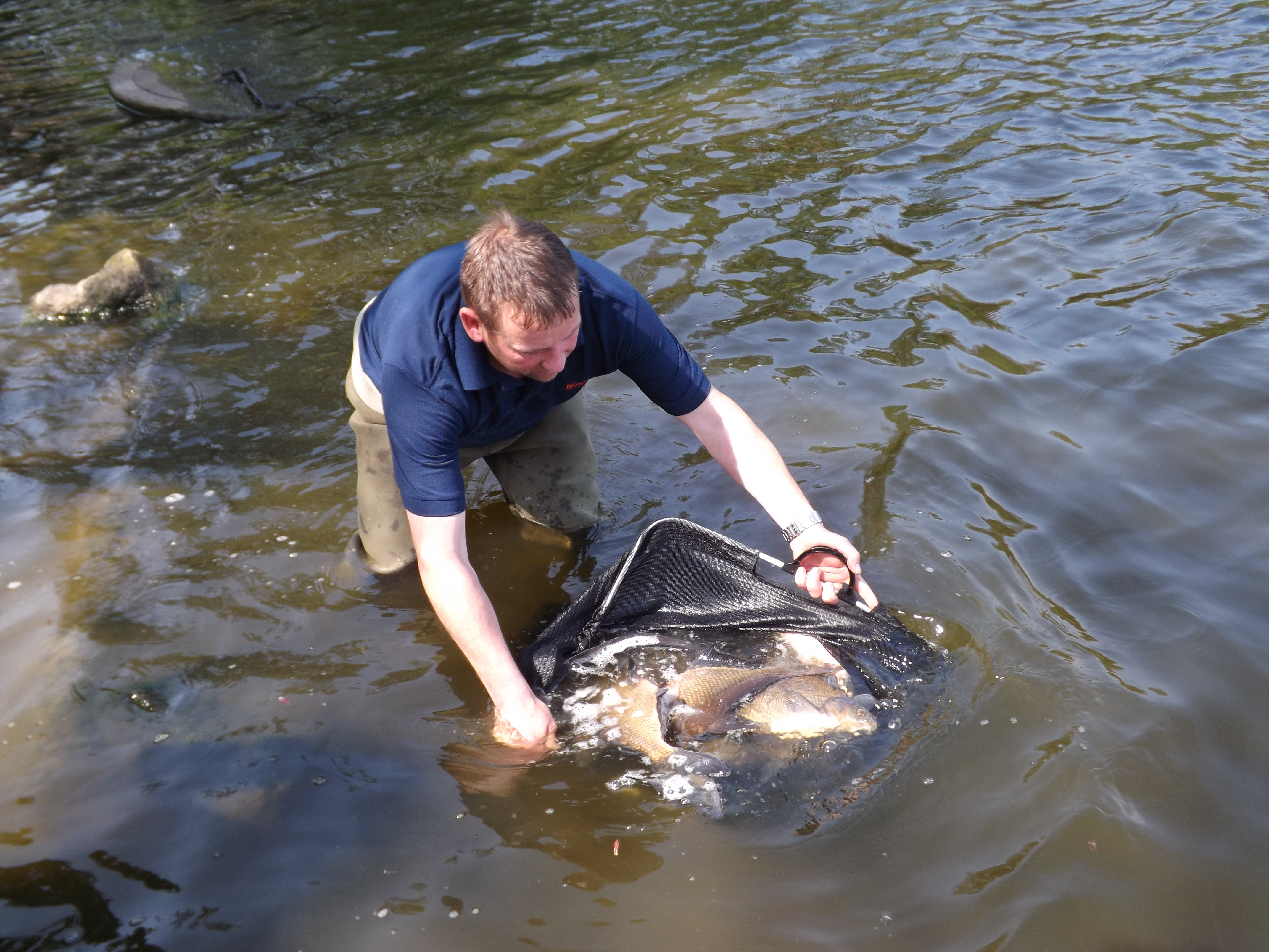 Carr Mill 1.JPG Carr Mill 1.JPG