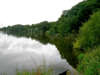 Carr Mill